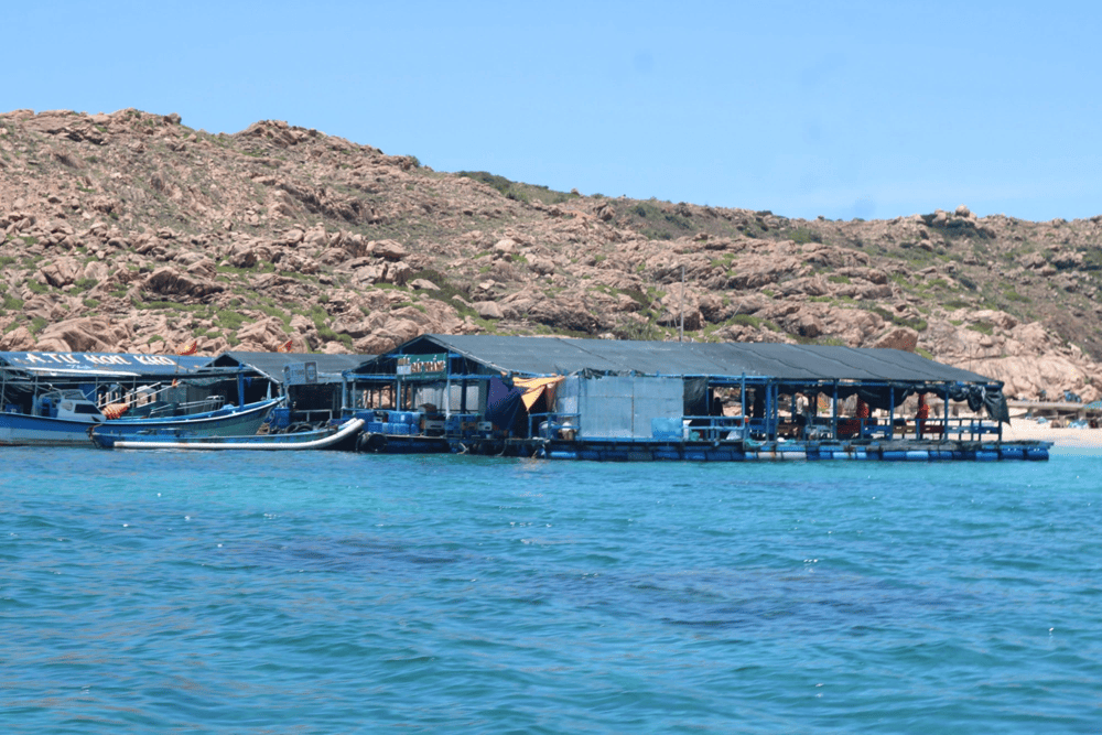 The peaceful atmosphere at Nhon Hai fishing village offers a tranquil retreat immersed in authentic coastal life (Source: B&aacute;o Thanh Ni&ecirc;n)
